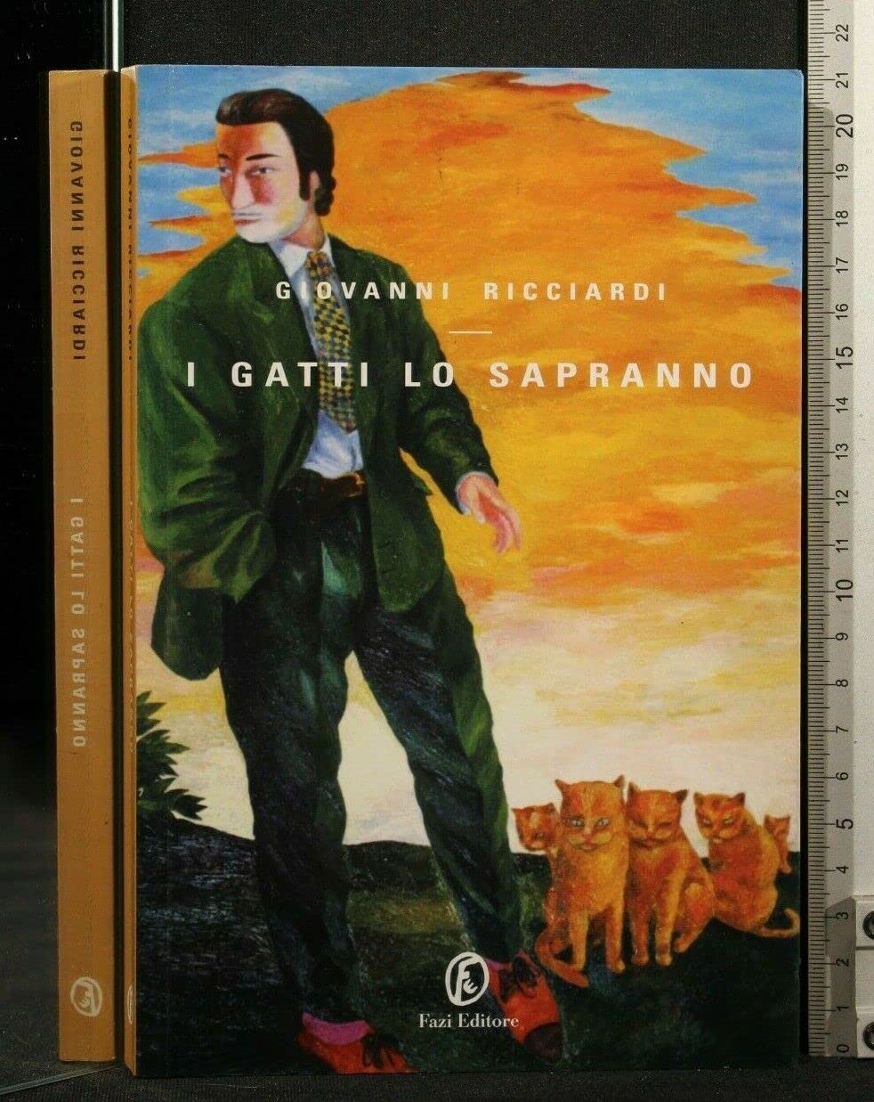 I gatti lo sapranno (Le vele) Contemporary literature