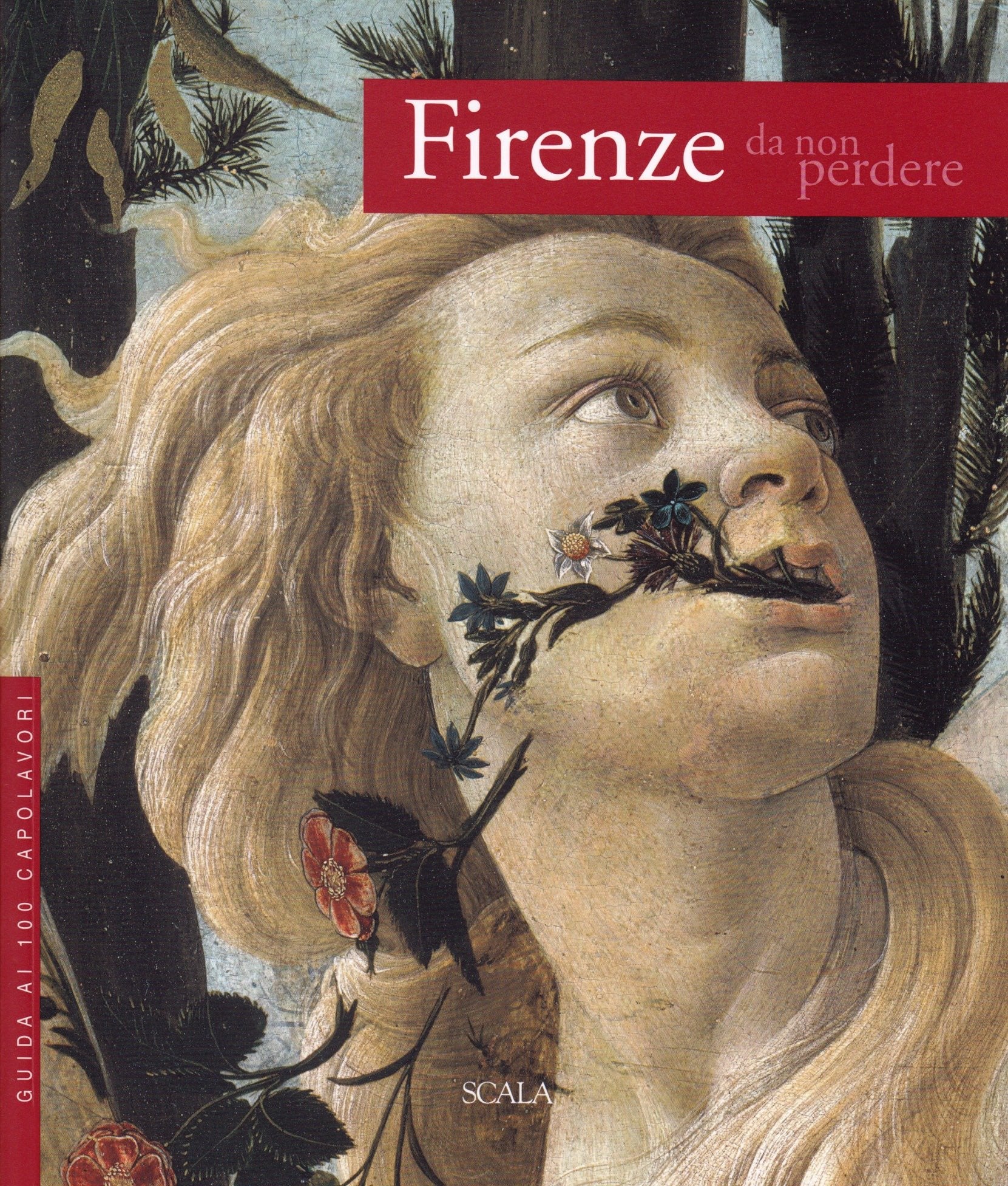 Firenze da non perdere. Guida ai 100 capolavori book