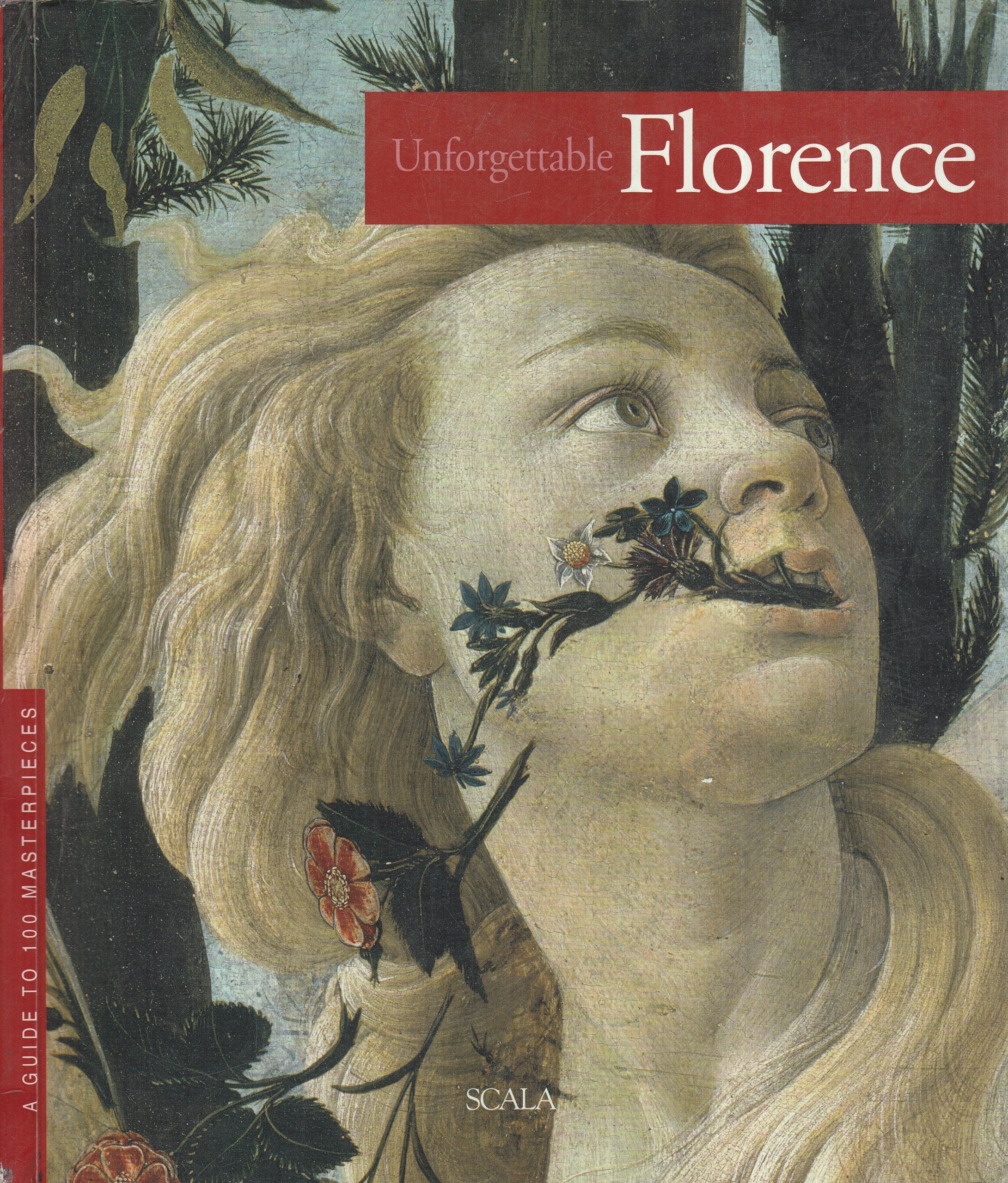 Firenze da non perdere. Guida ai 100 capolavori. Ediz. inglese Leisure, Home & Garden