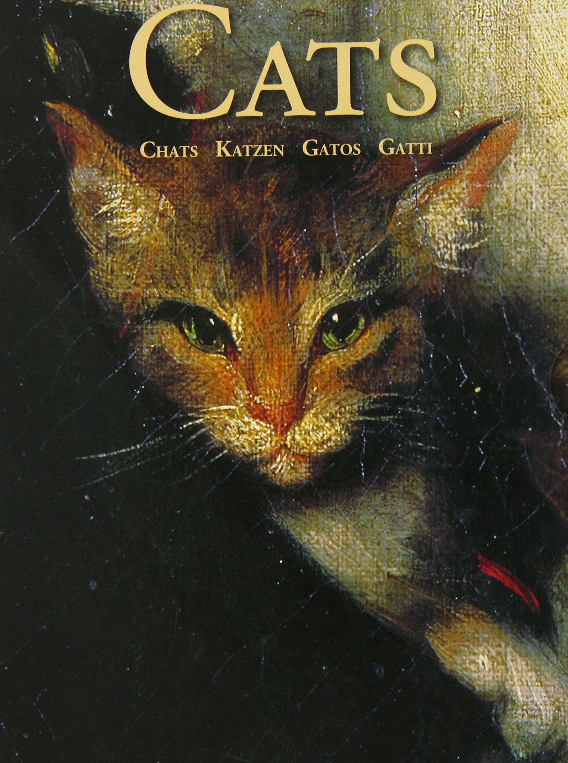 Cats, 30 Postkarten m. Umschlag Books