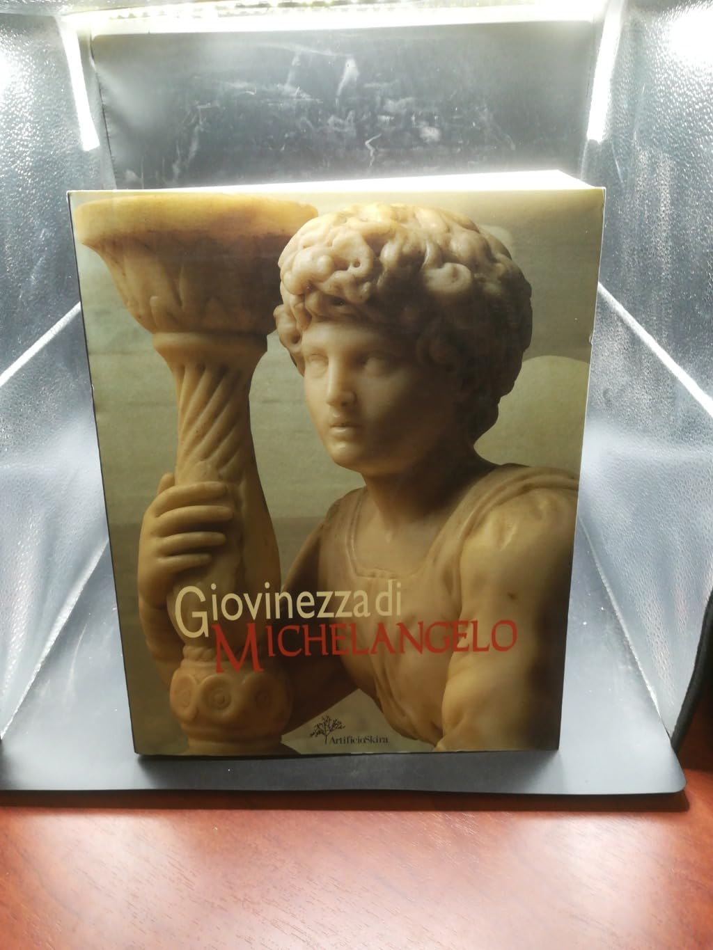 Giovinezza di Michelangelo. Ediz. illustrata Film, Art & Culture