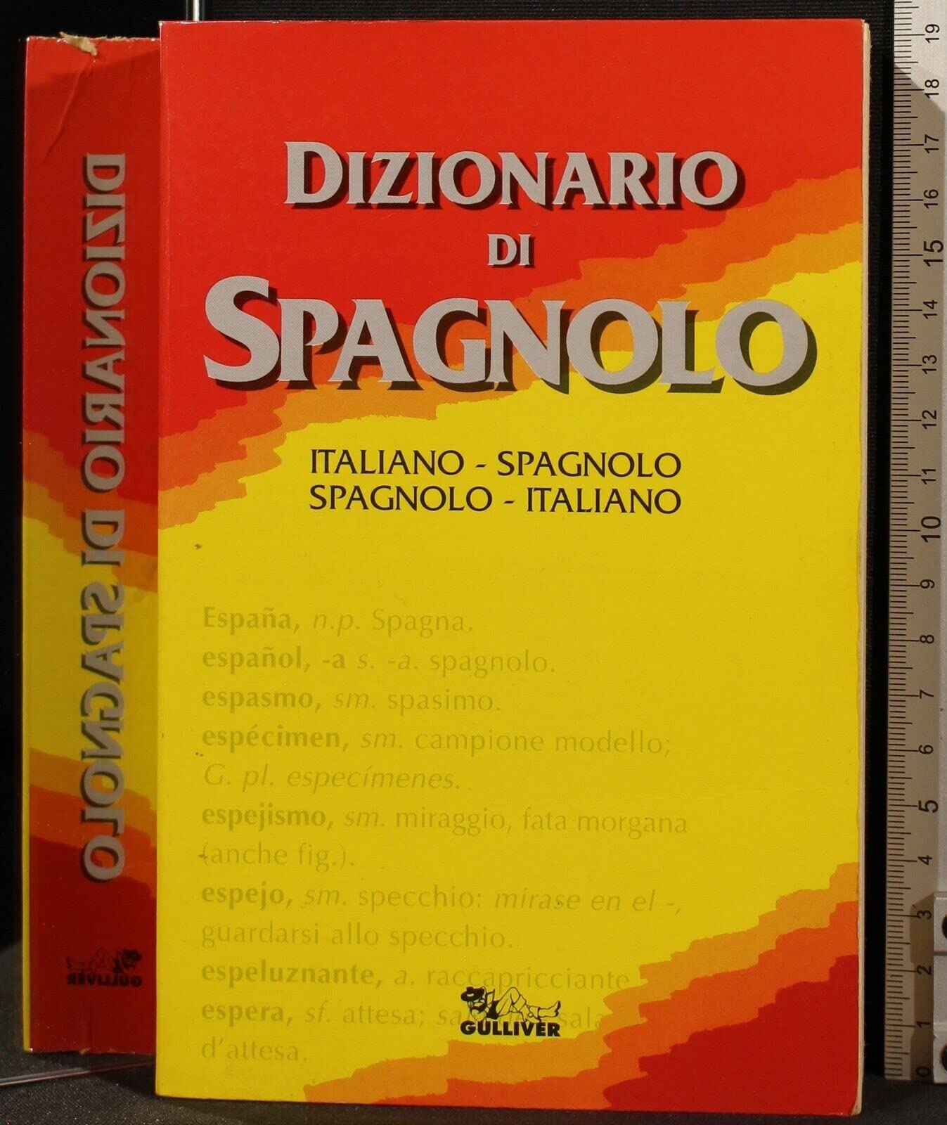 Dizionario di spagnolo. Spagnolo-italiano, italiano-spagnolo Foreign Languages ​​& Dictionaries