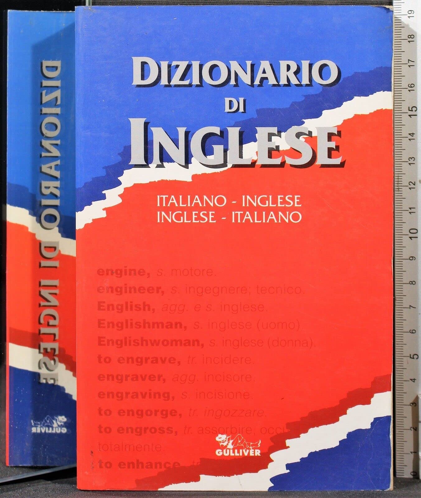 Dizionario di inglese Foreign Languages ​​& Dictionaries