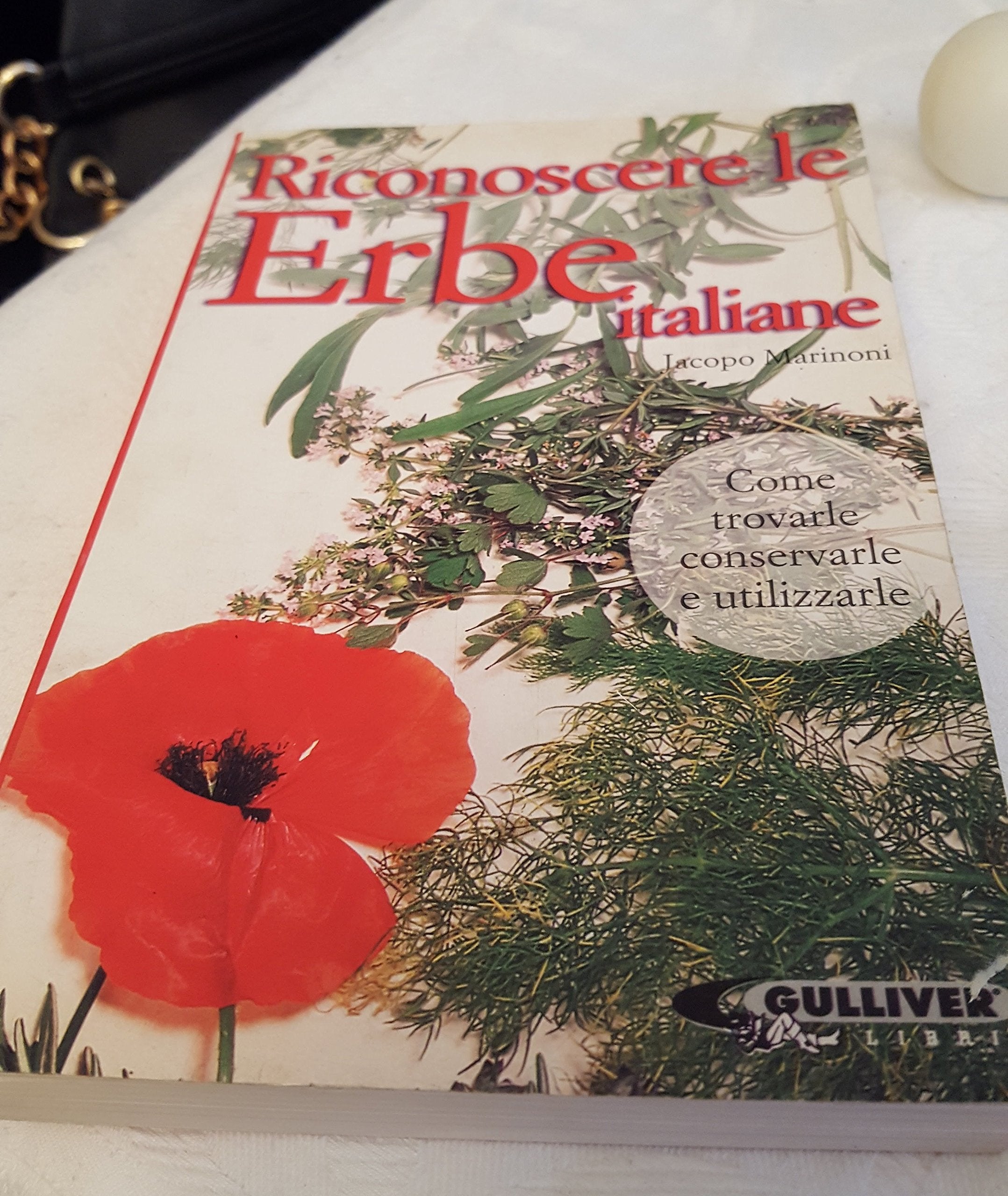 Riconoscere le erbe italiane. Come trovarle e conservarle e utilizzarle book
