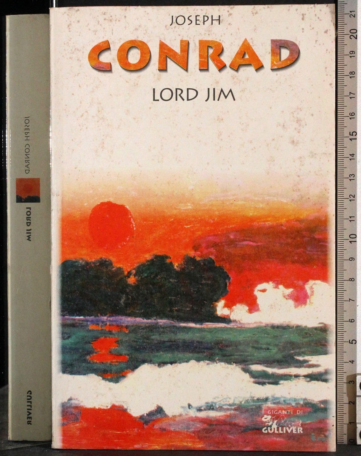 Lord Jim book