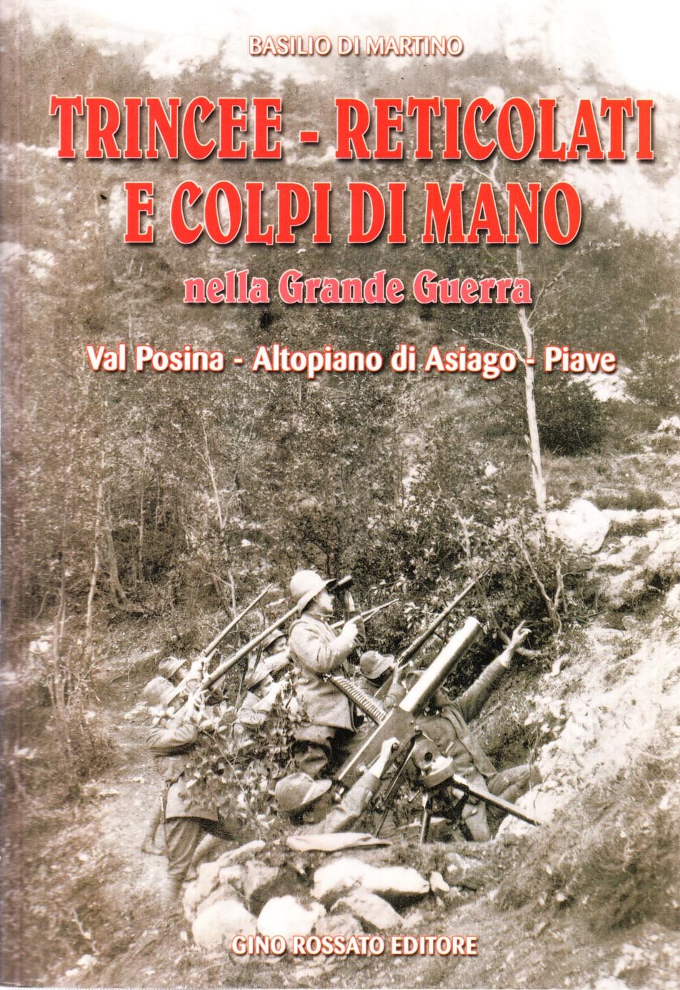 Trincee-reticolati e colpi di mano nella grande guerra. Val Posina-altopiano di Asiago-Piave book