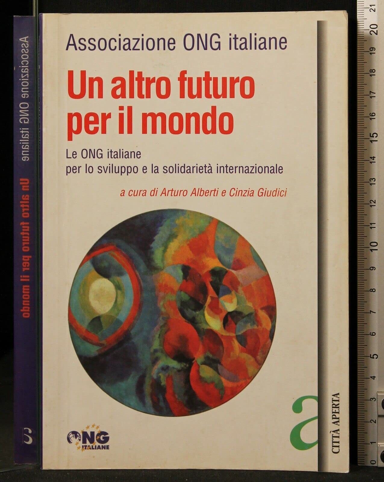 Un altro futuro per il mondo. Le Ong italiane per lo sviluppo e la solidarietà internazionale book