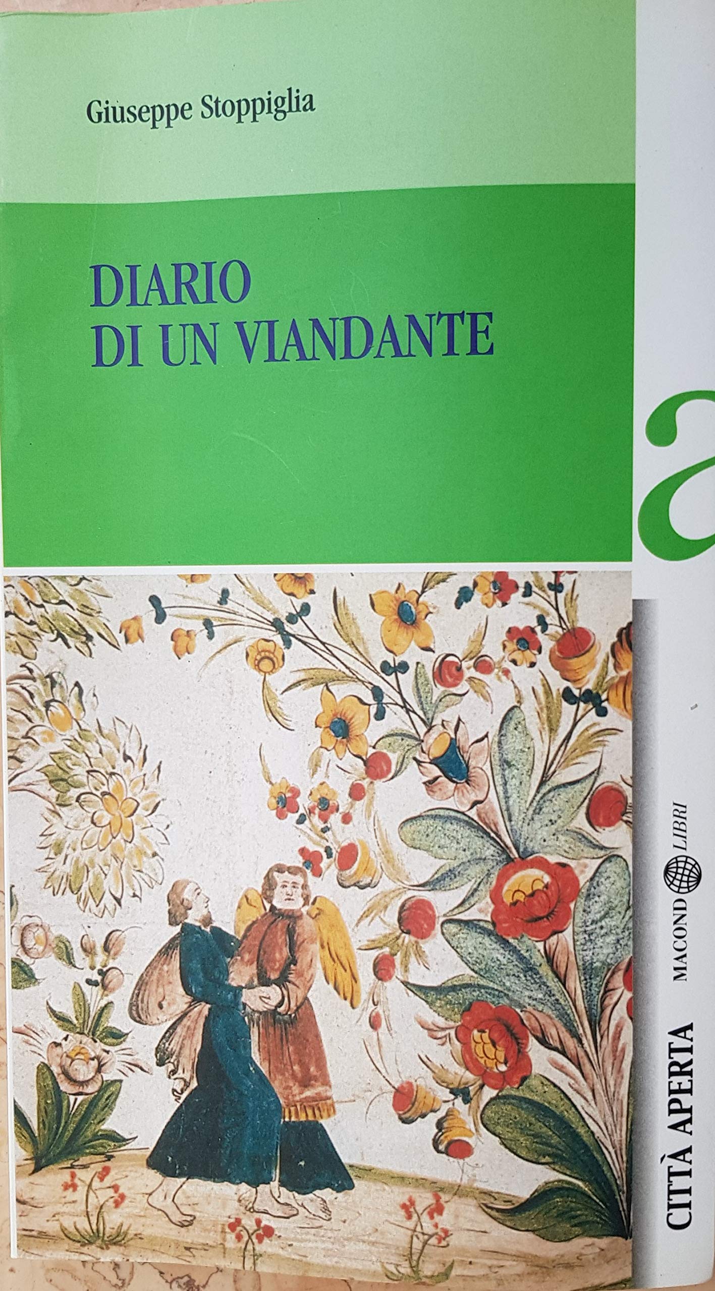 Diario di un viandante book
