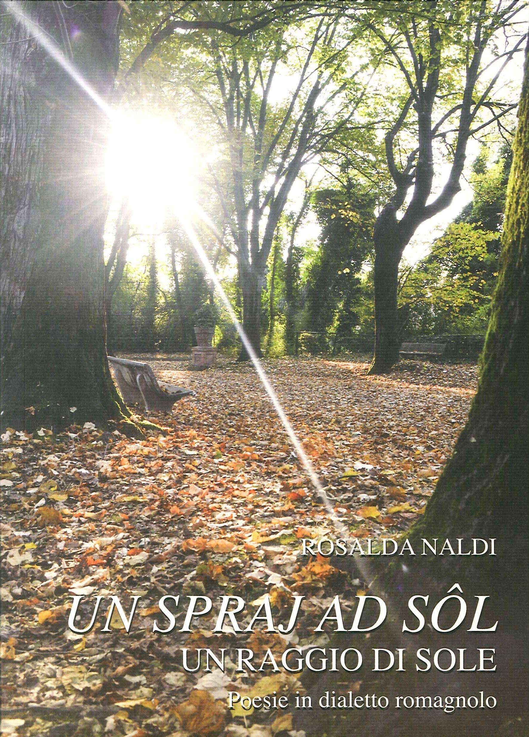 Un spraj ad sol-Un raggio di sole. Poesie in dialetto romagnolo Poetry