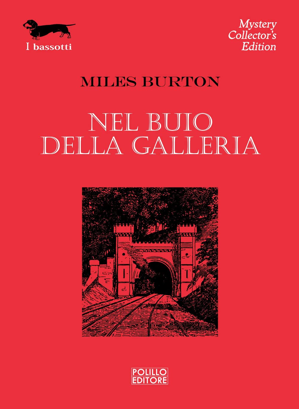 Nel buio della galleria book