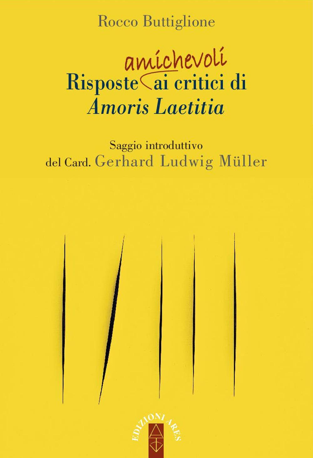 Risposte (amichevoli) ai critici di Amoris laetitia book