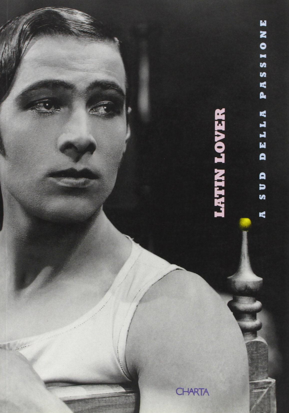 Latin Lover: The Passionate South book