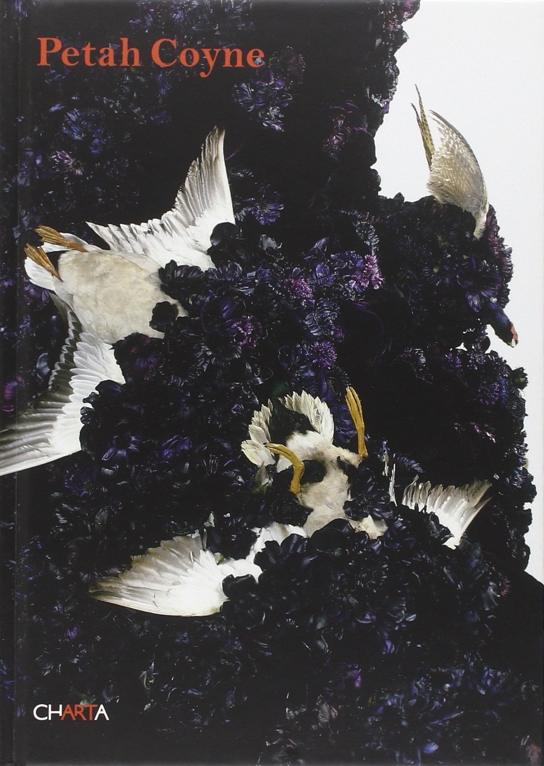Petah Coyne: Vermilion Fog book