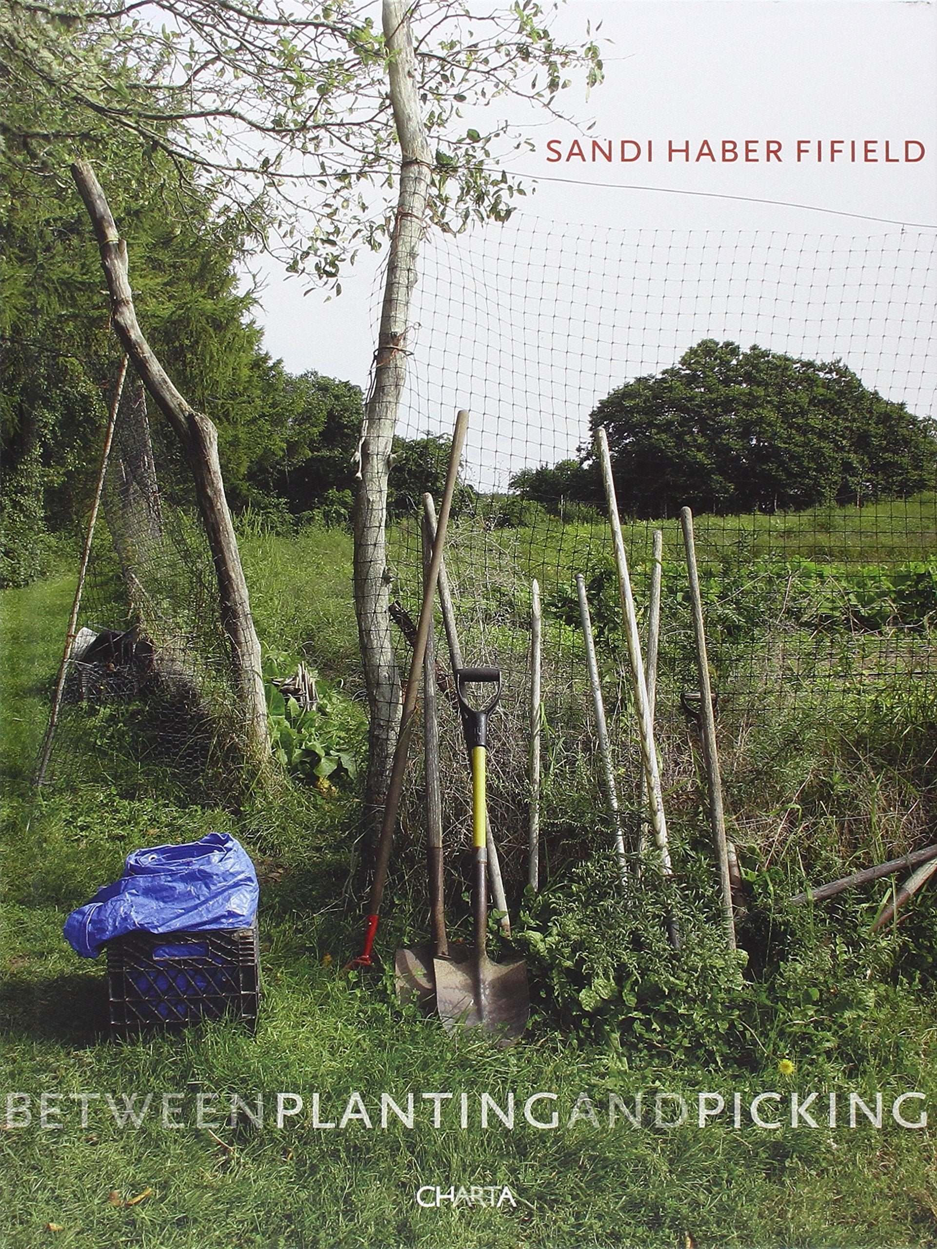 Sandi Haber Fifield: Between Planting and Picking Social Sciences