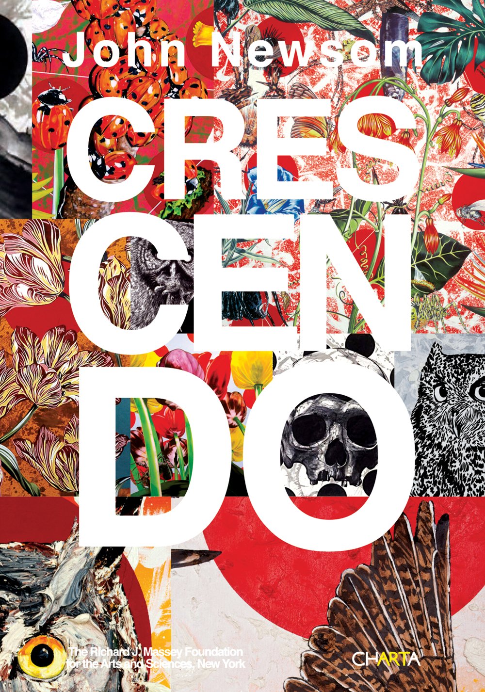 John Newsom: Crescendo (Arte contemporanea) Film, Art & Culture