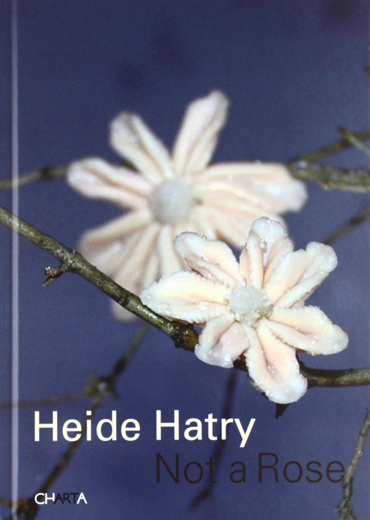 Heide Hatry: Not a Rose book
