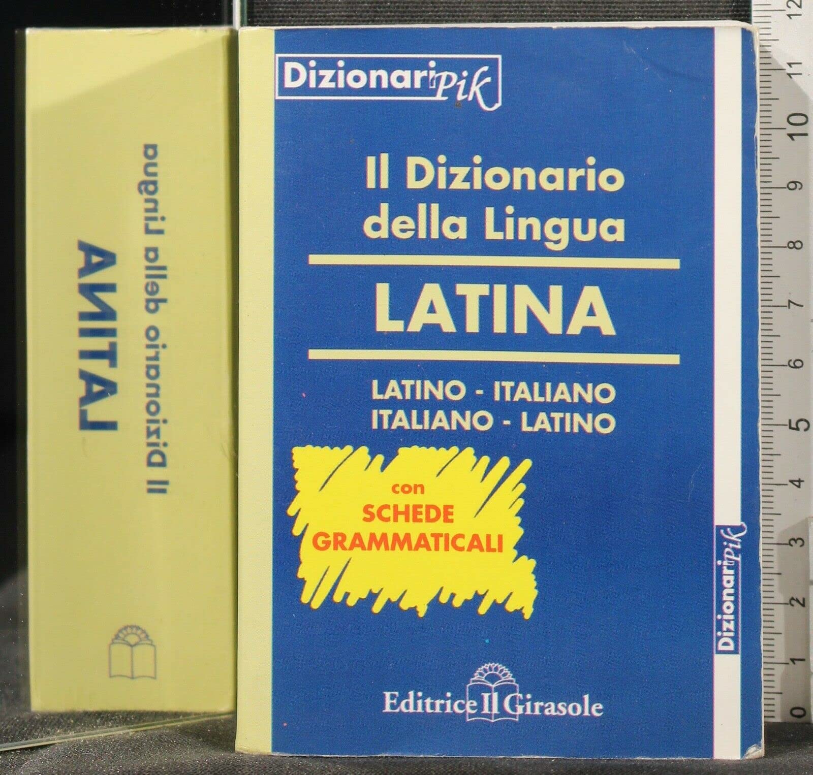 Dizionario PIK di latino-italiano, italiano-latino Social Sciences