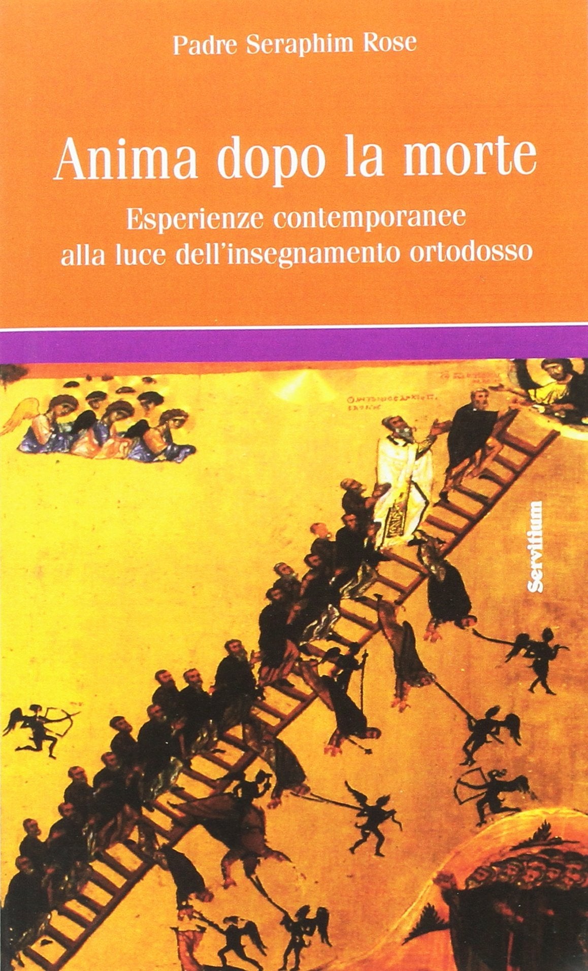 L' anima dopo la morte. Esperienze contemporanee alla luce dell'insegnamento ortodosso book