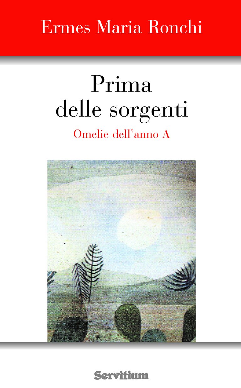 Prima delle sorgenti. Omelie dell'anno A book