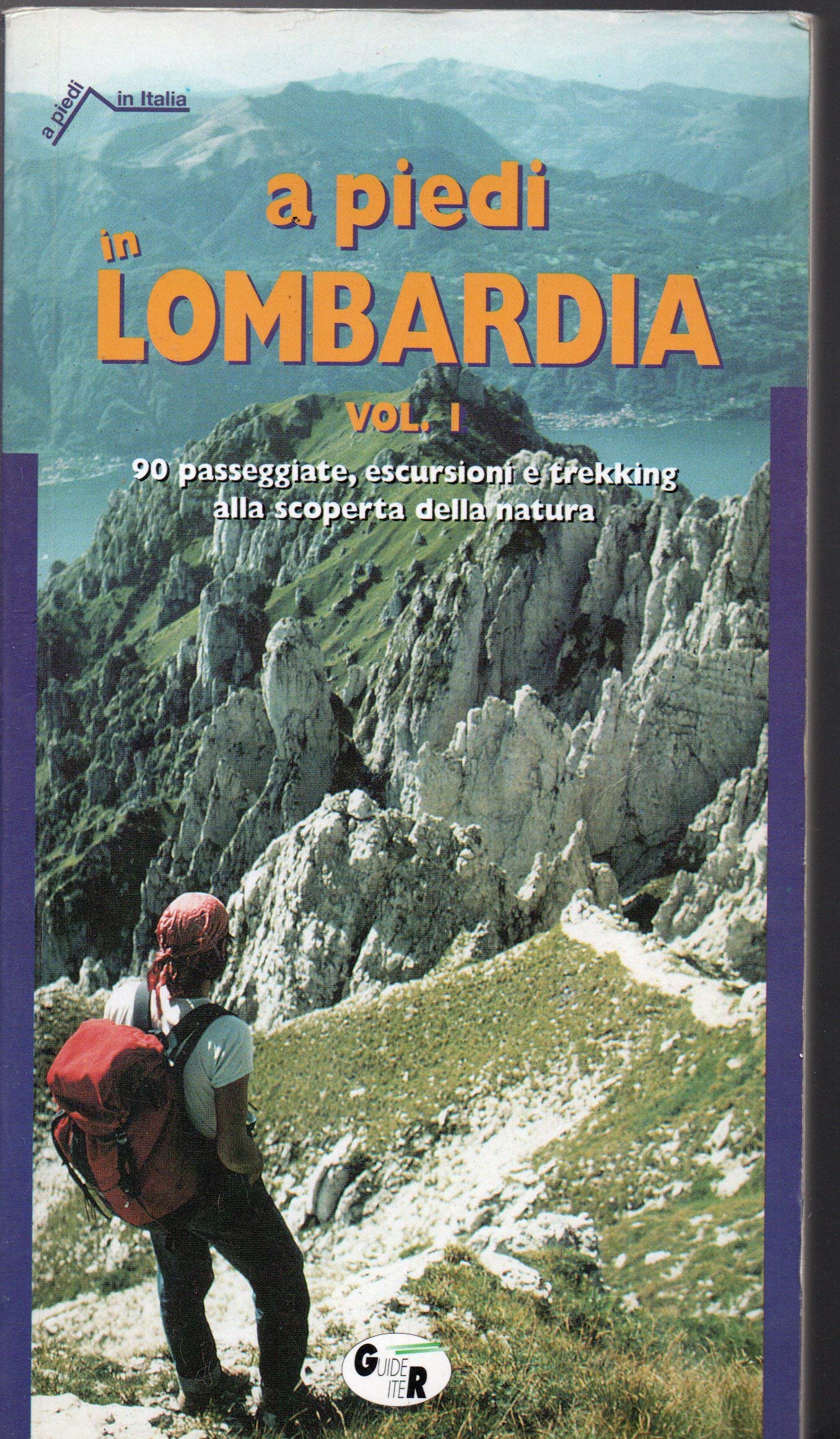 A piedi in Lombardia. 90 passeggiate, escursioni e trekking alla scoperta della natura. Ediz. illustrata (Vol. 1) (A piedi in Italia) Leisure & Fun