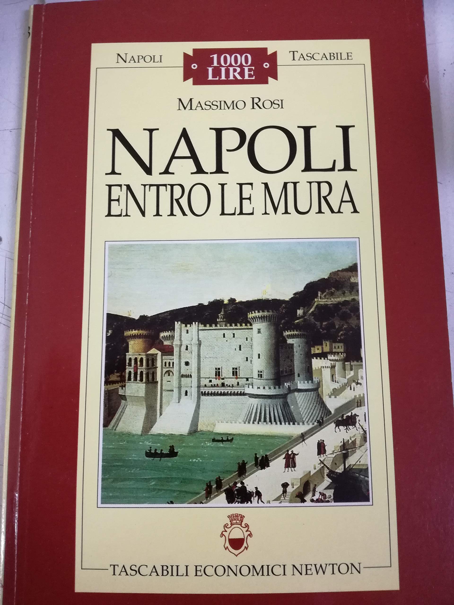 Napoli entro le mura (Napoli tascabile) Politics & History
