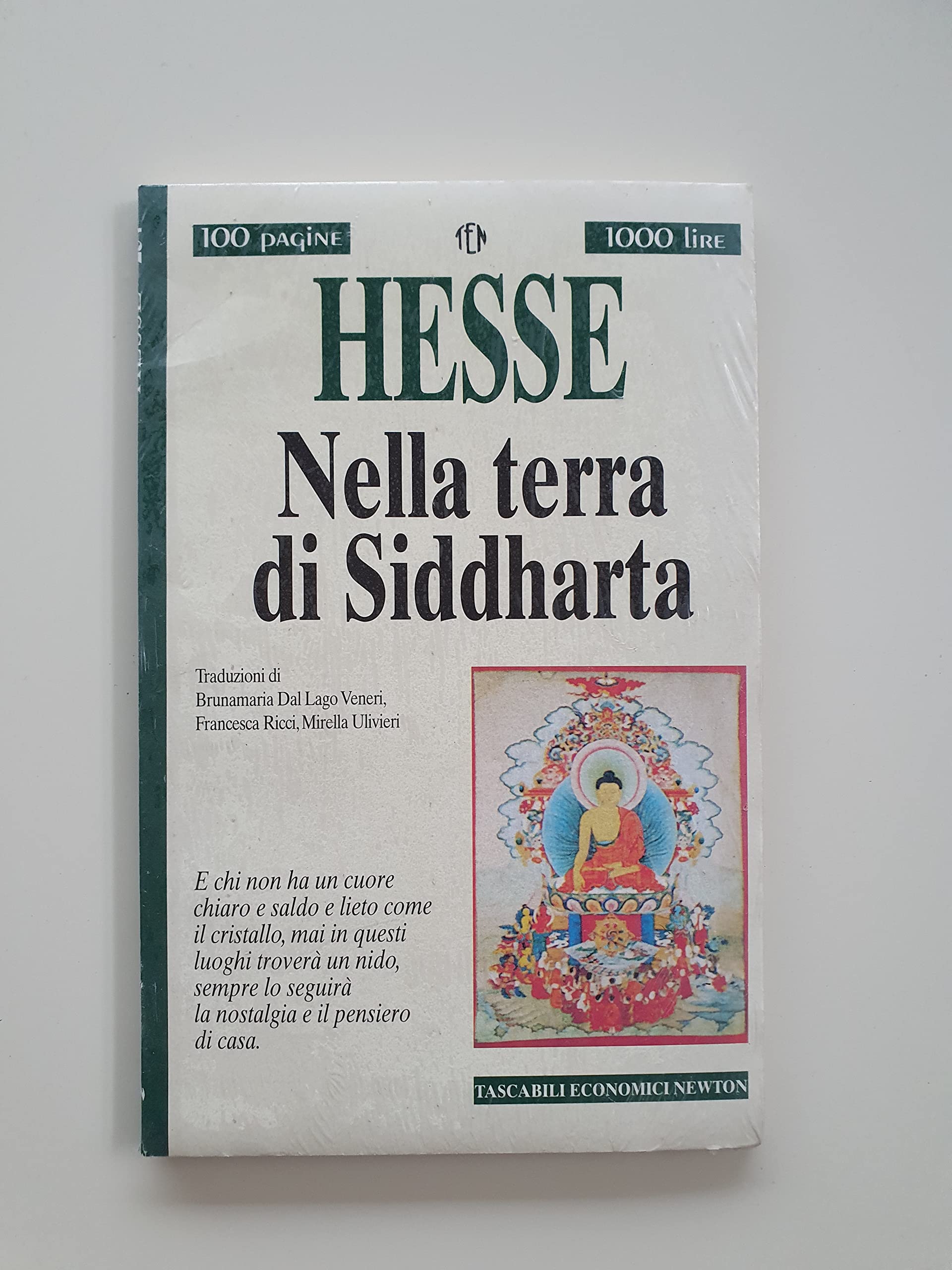 Nella terra di Siddharta (Tascabili economici Newton) Classics