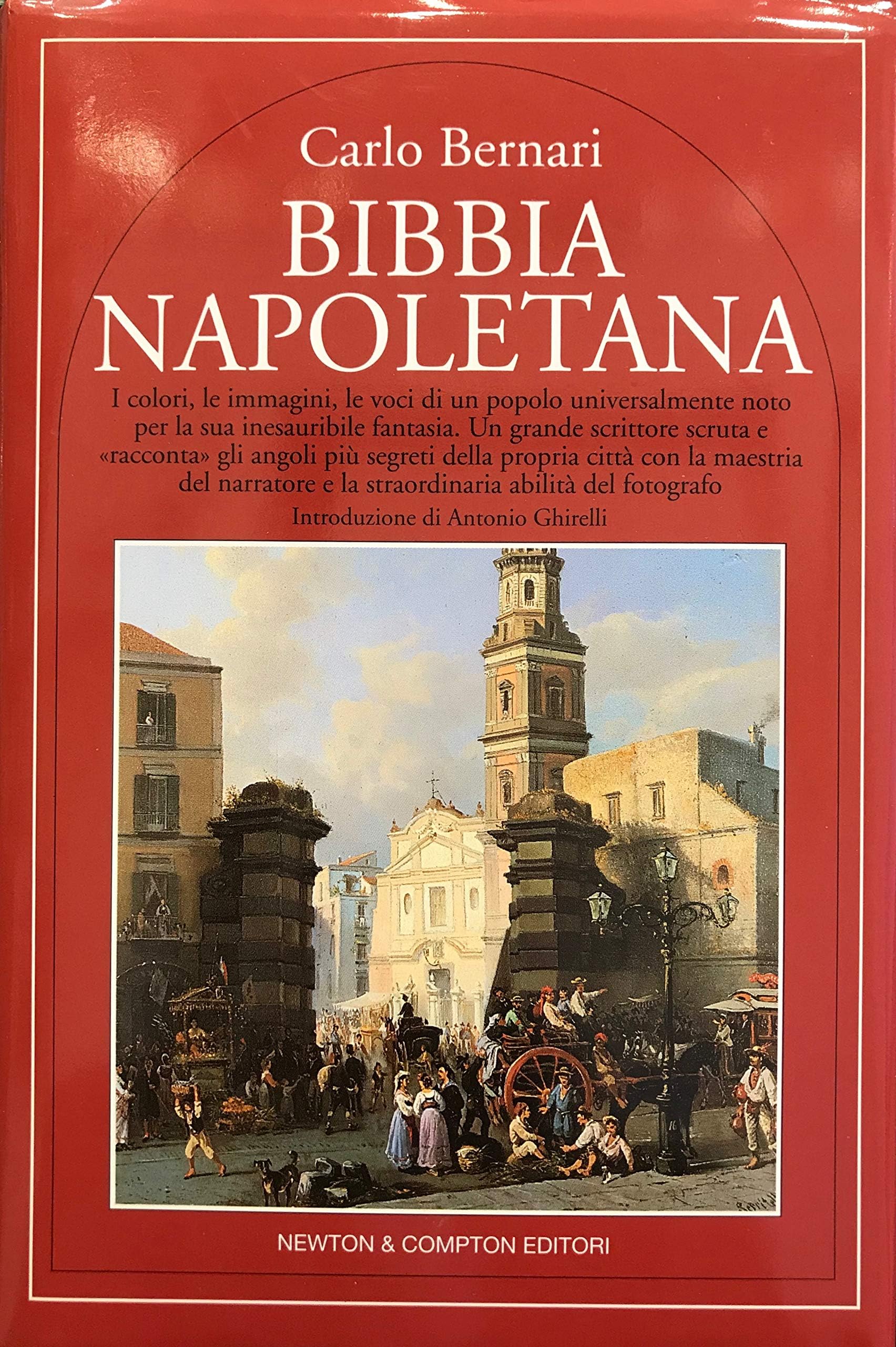Bibbia napoletana book