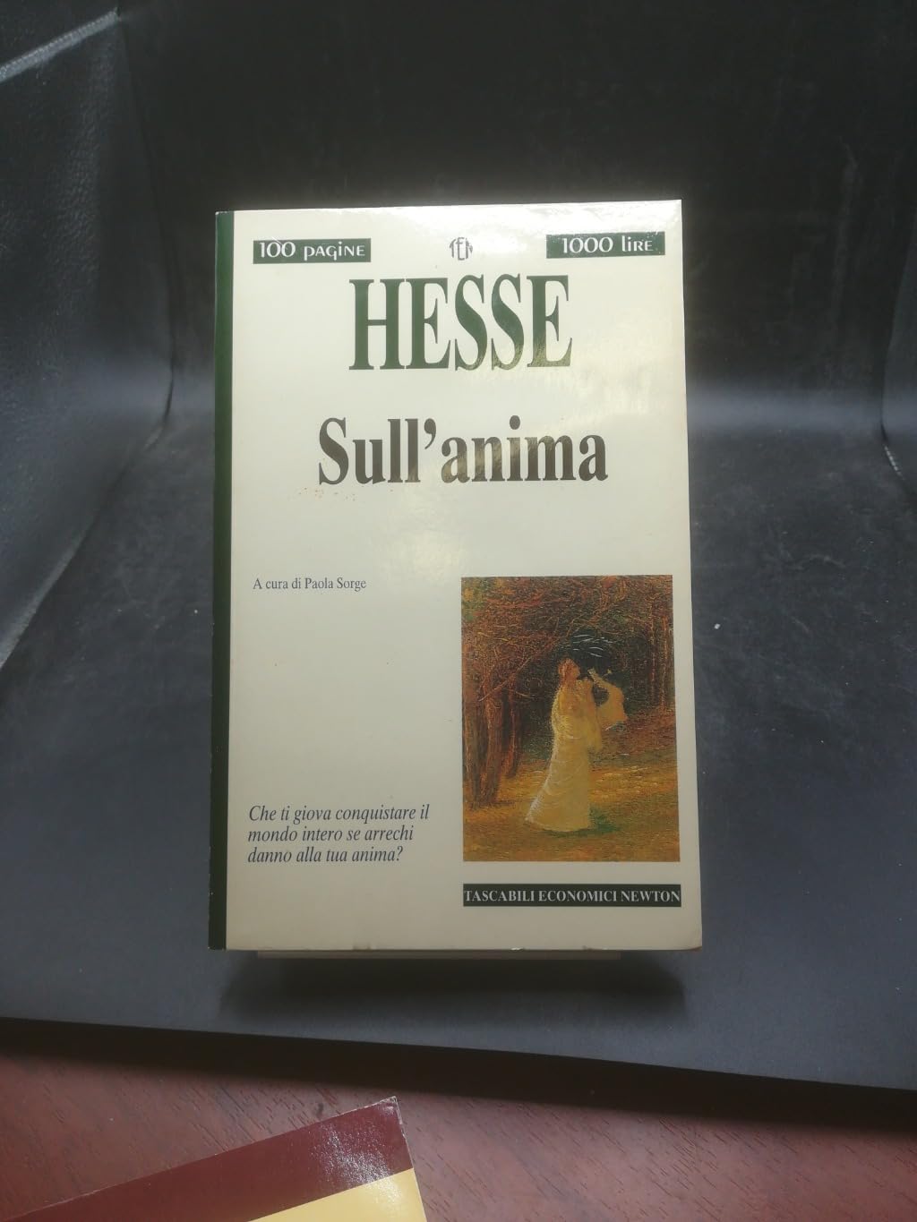 Sull'anima (Tascabili economici Newton) Essays & Short Stories