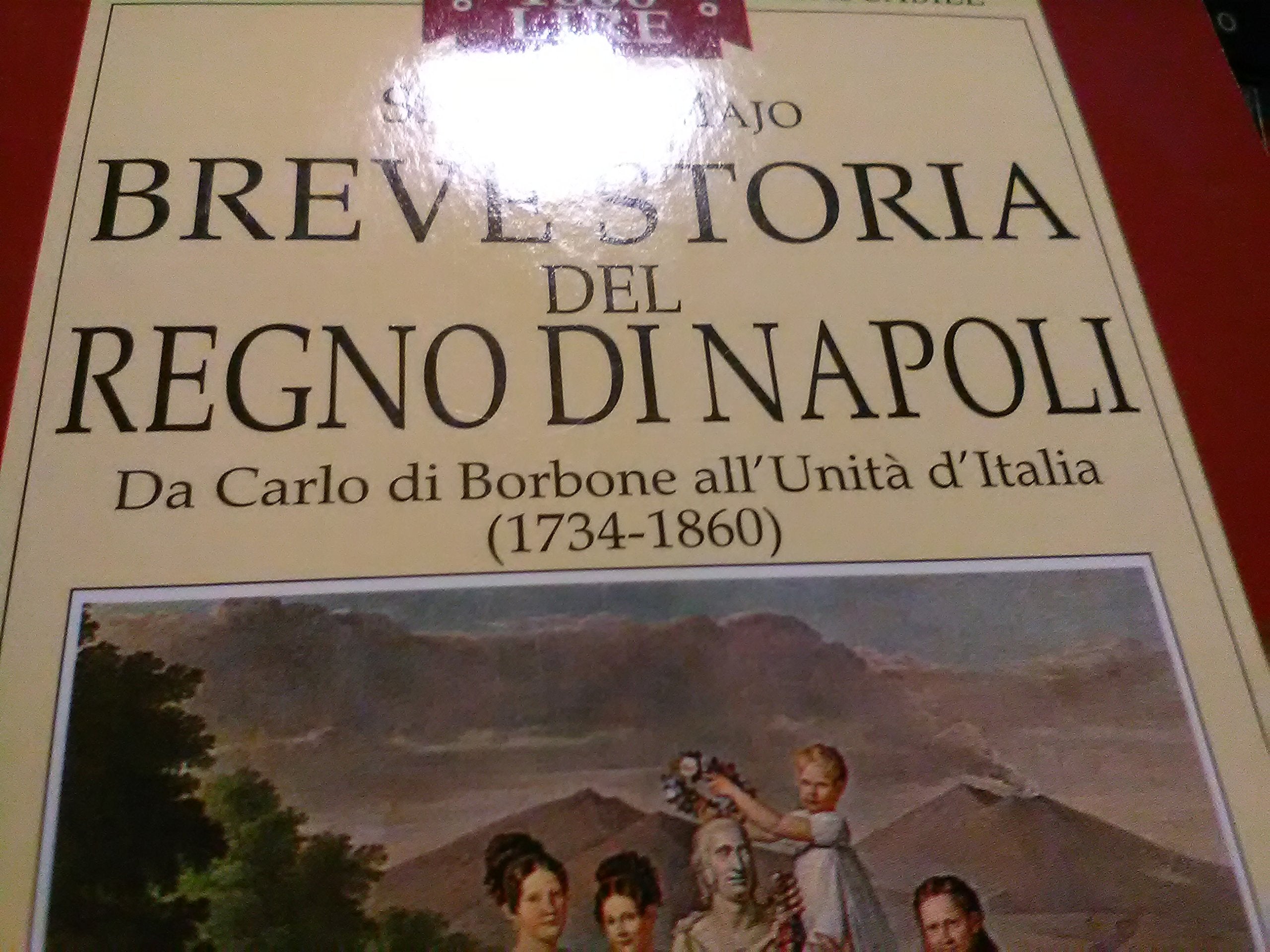 Breve storia del Regno di Napoli (Napoli tascabile) Politics & History