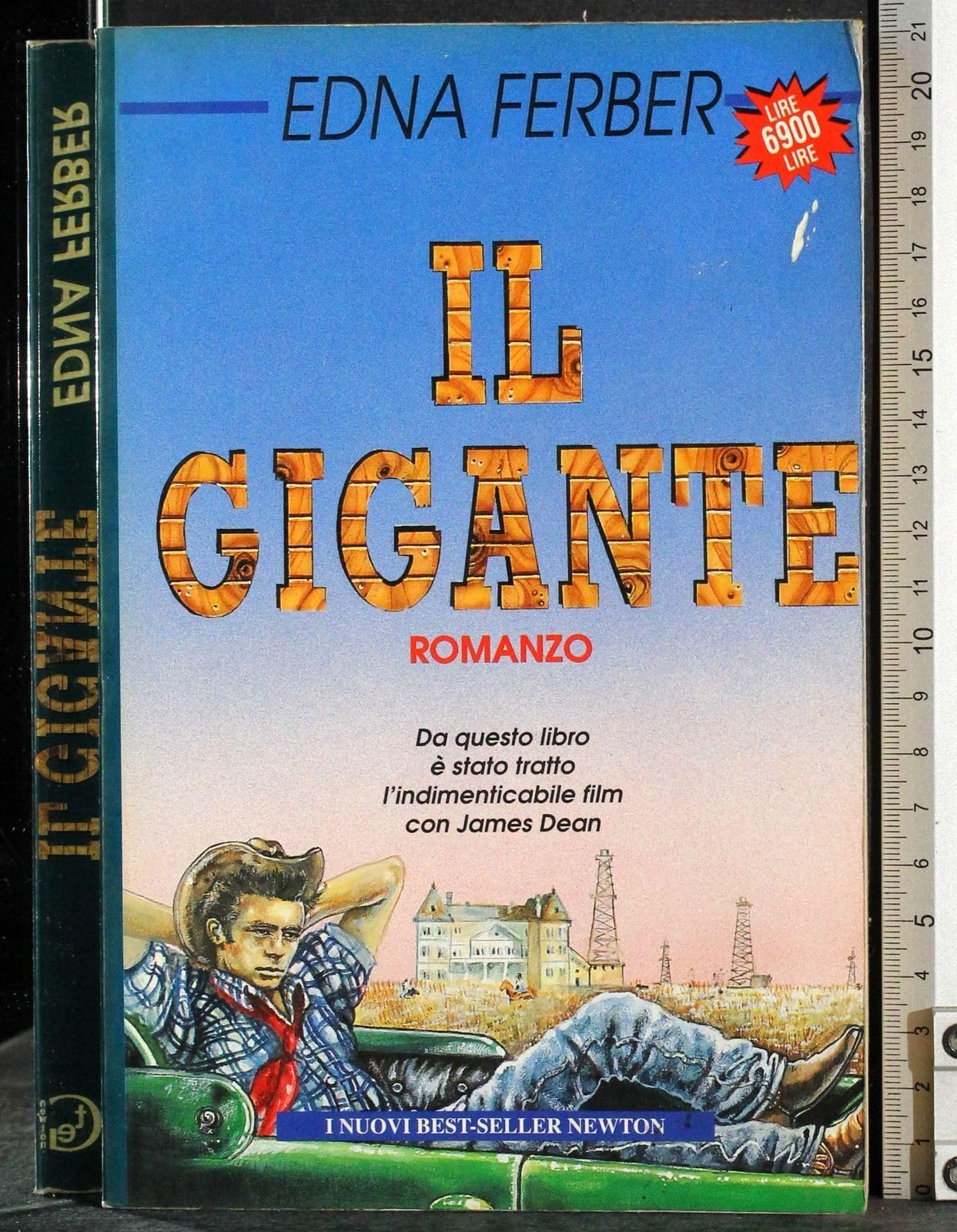 Il gigante (I nuovi best seller) Contemporary literature
