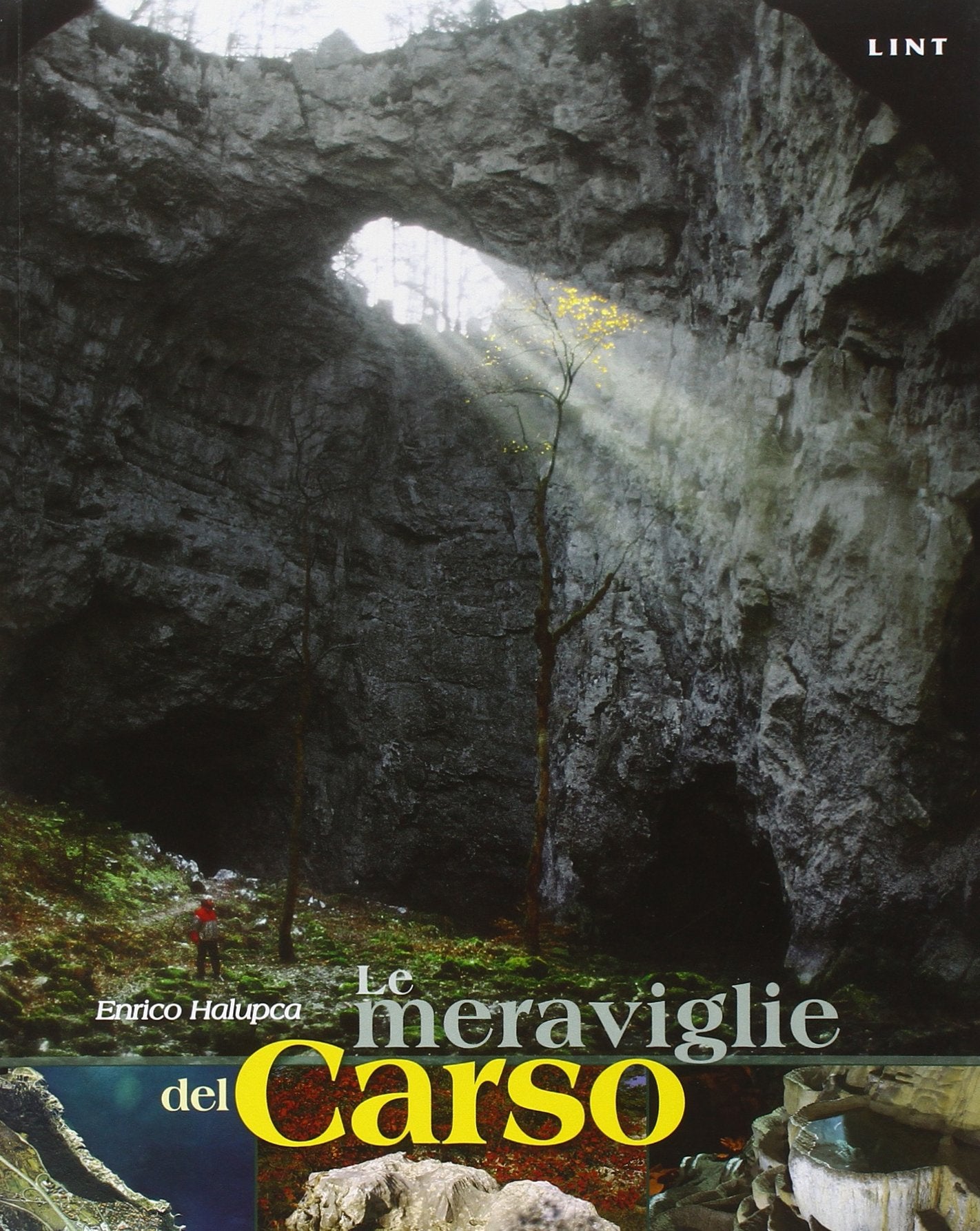 Le meraviglie del Carso. Immagini, storia e cultura di uno dei più affascinanti paesaggi d'Europa Leisure, Home & Garden