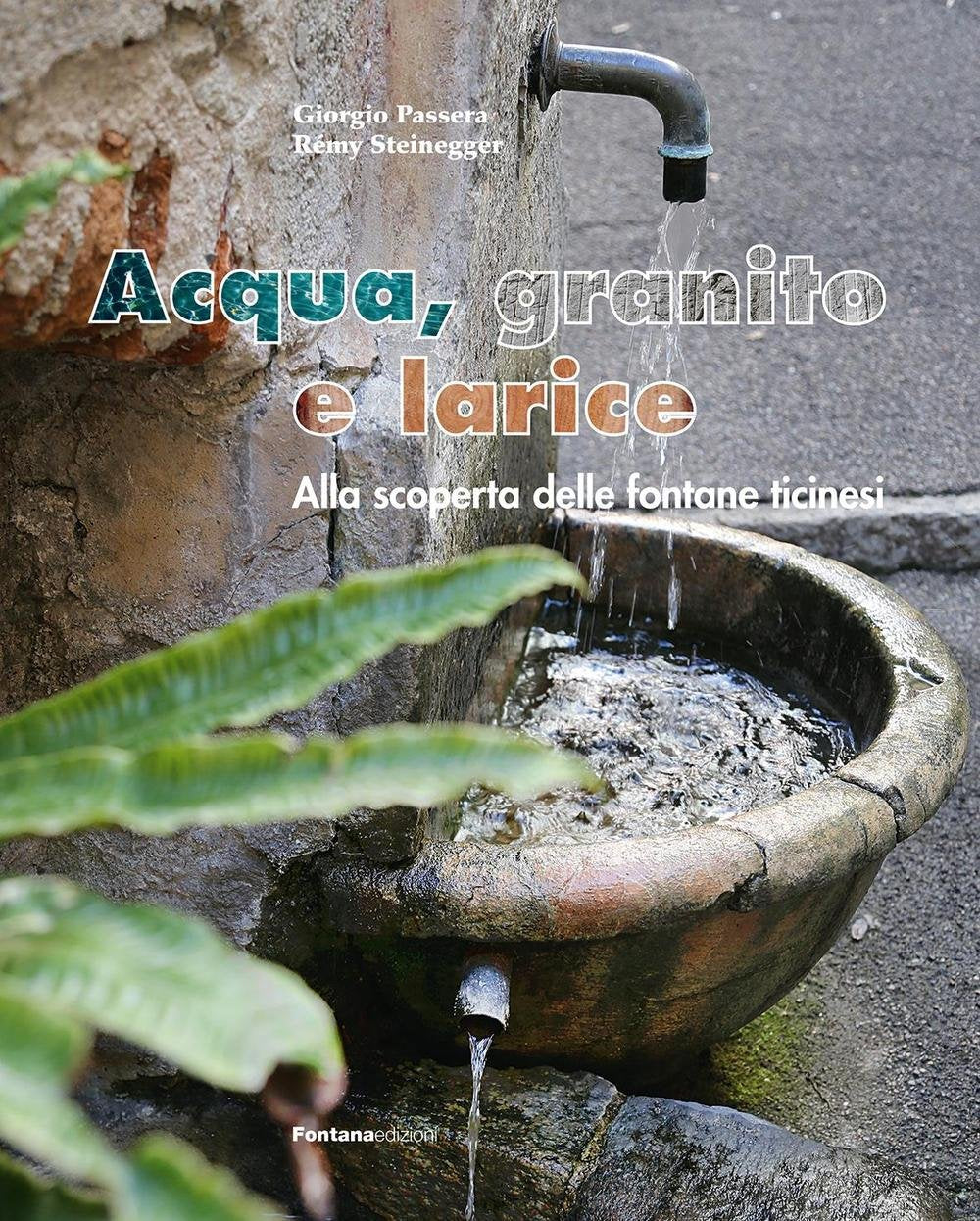 Acqua, granito e larice. Alla scoperta delle fontane ticinesi book