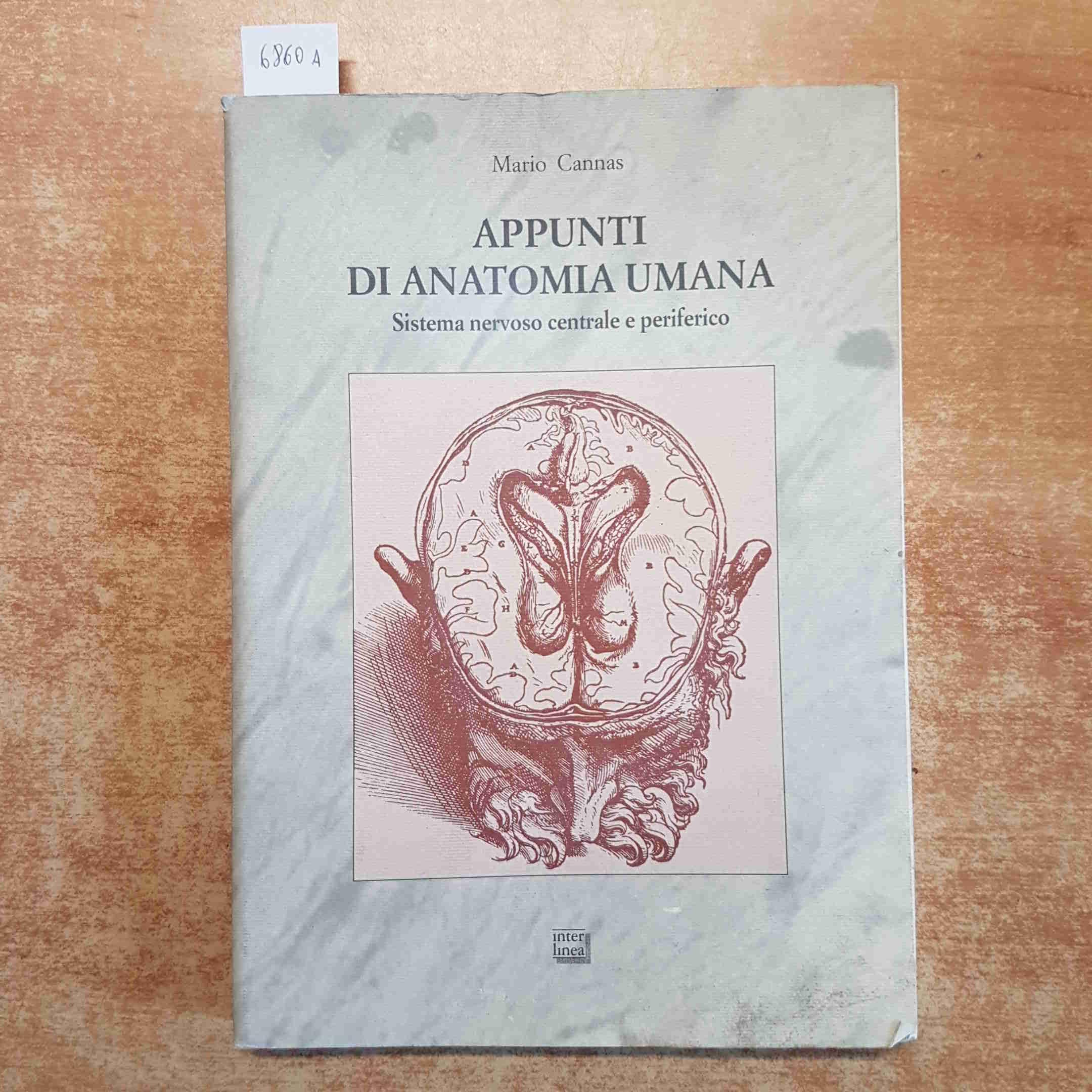 Appunti di anatomia umana. Sistema nervoso centrale e periferico (Studi) Medicine