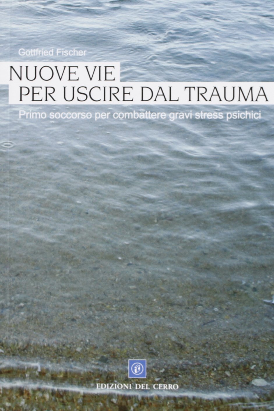 Nuove vie per uscire dal trauma. Un manuale di primo aiuto in caso di gravi disturbi psichici Psychology