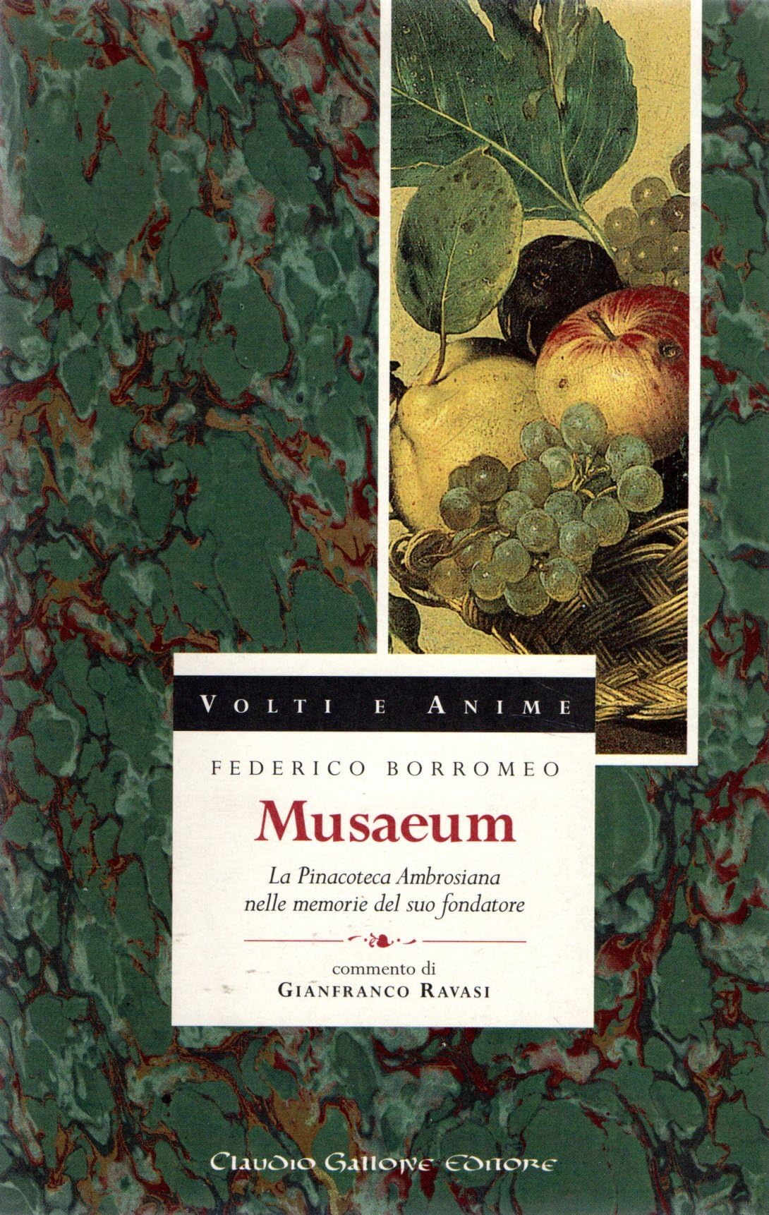 Musaeum. La Pinacoteca ambrosiana nelle memorie del suo fondatore book