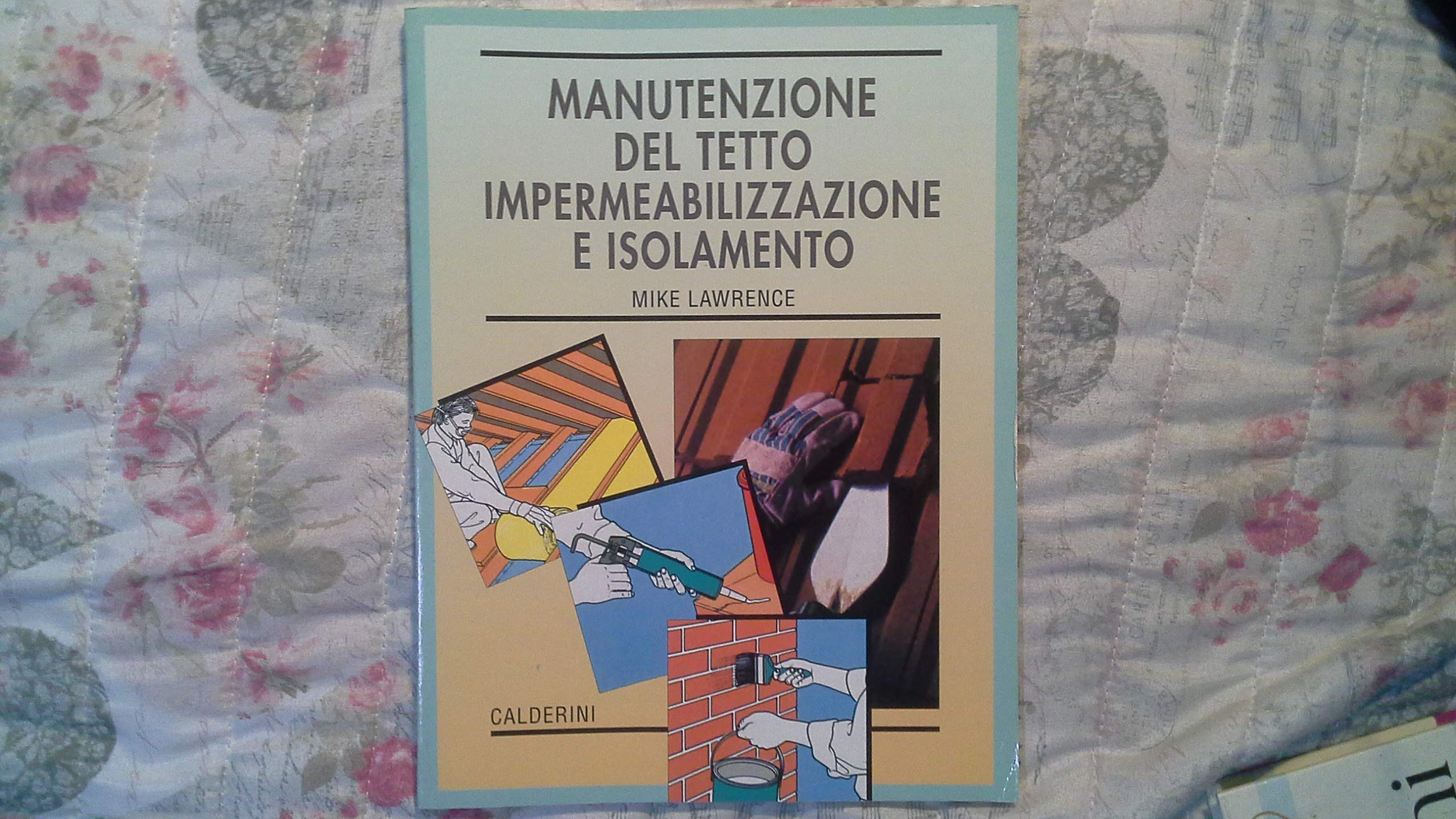 Manutenzione del tetto. Impermeabilizzazione e isolamento book
