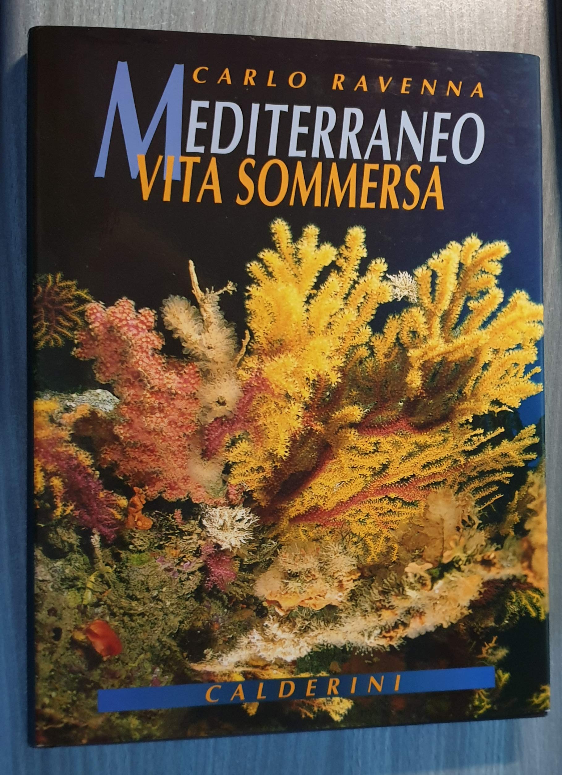 Mediterraneo. Vita sommersa book