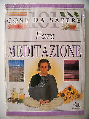 Fare meditazione (101 cose da sapere) Religion & Esotericism