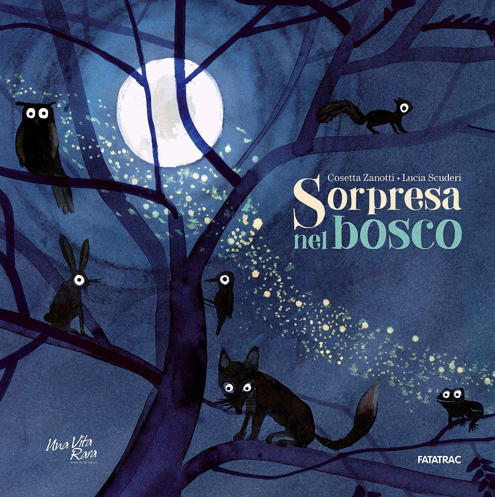 Sorpresa nel bosco (Albi d'autore) Children's books