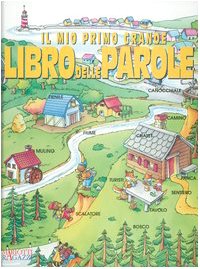 Il mio primo grande libro delle parole Children's books