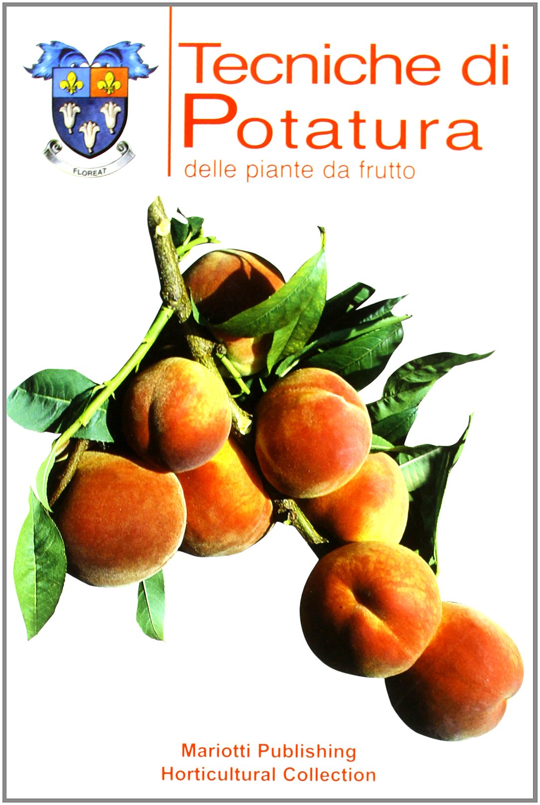 Tecniche di potatura delle piante da frutto Garden & Plants