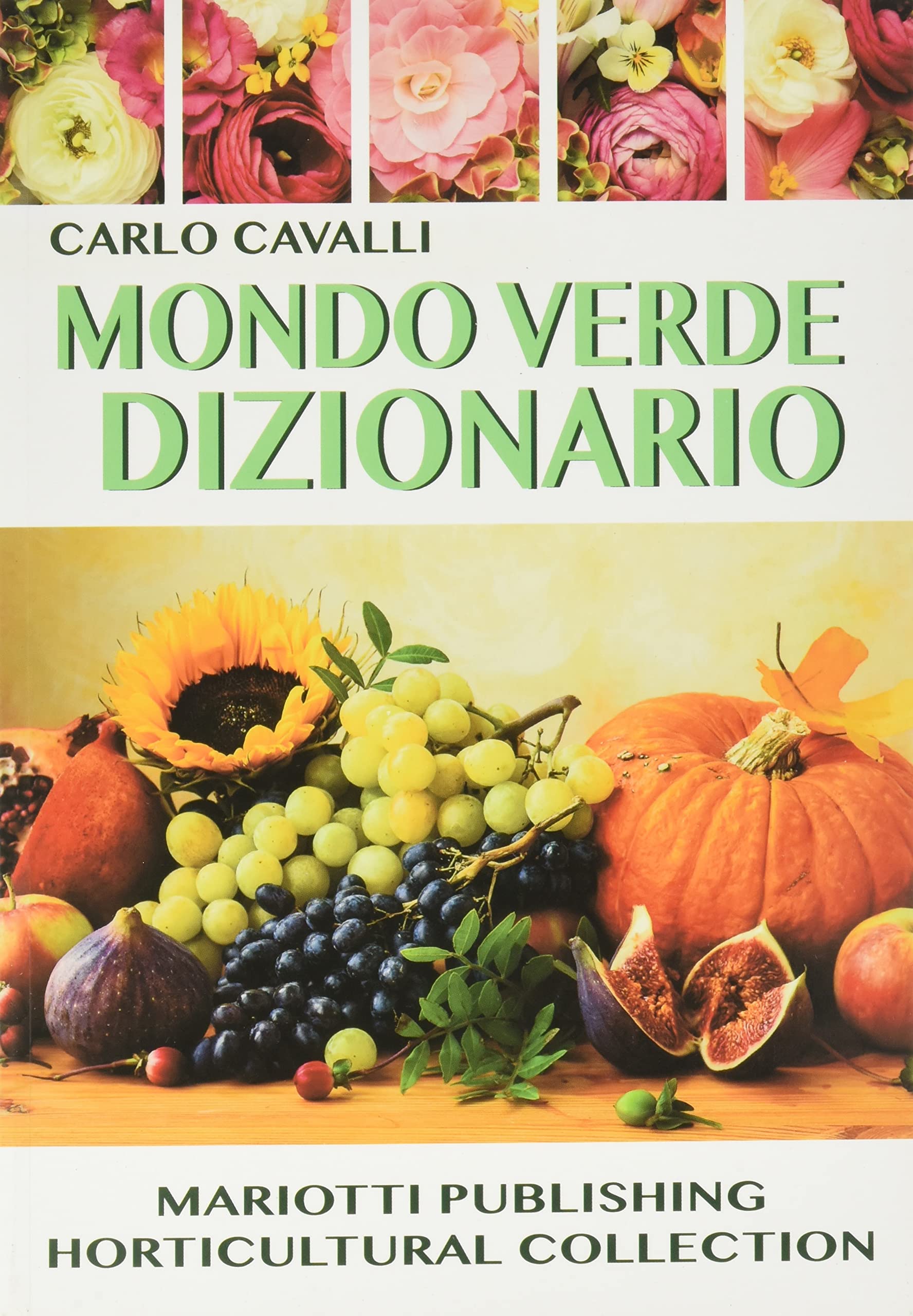 Mondo verde dizionario book