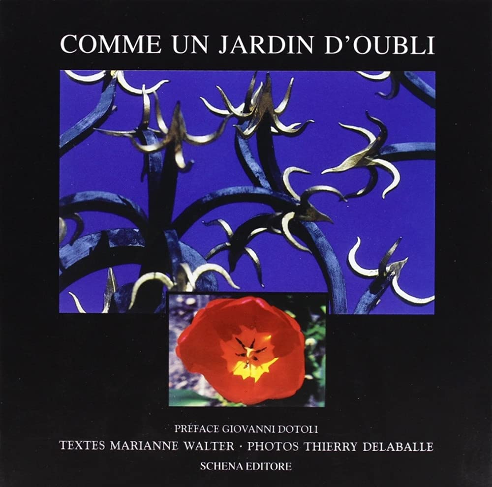 Comme un jardin d'oubli. Ediz. illustrata book