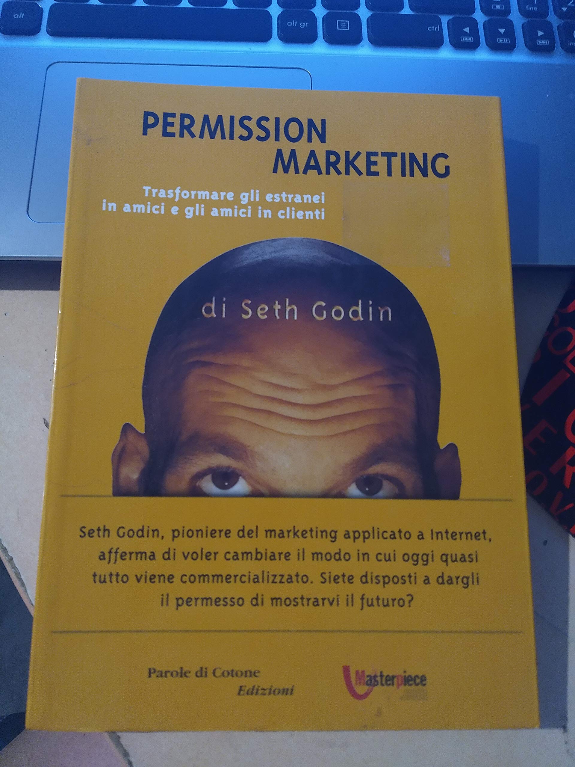 Permission Marketing. Trasformare gli estranei in amici e gli amici in clienti book