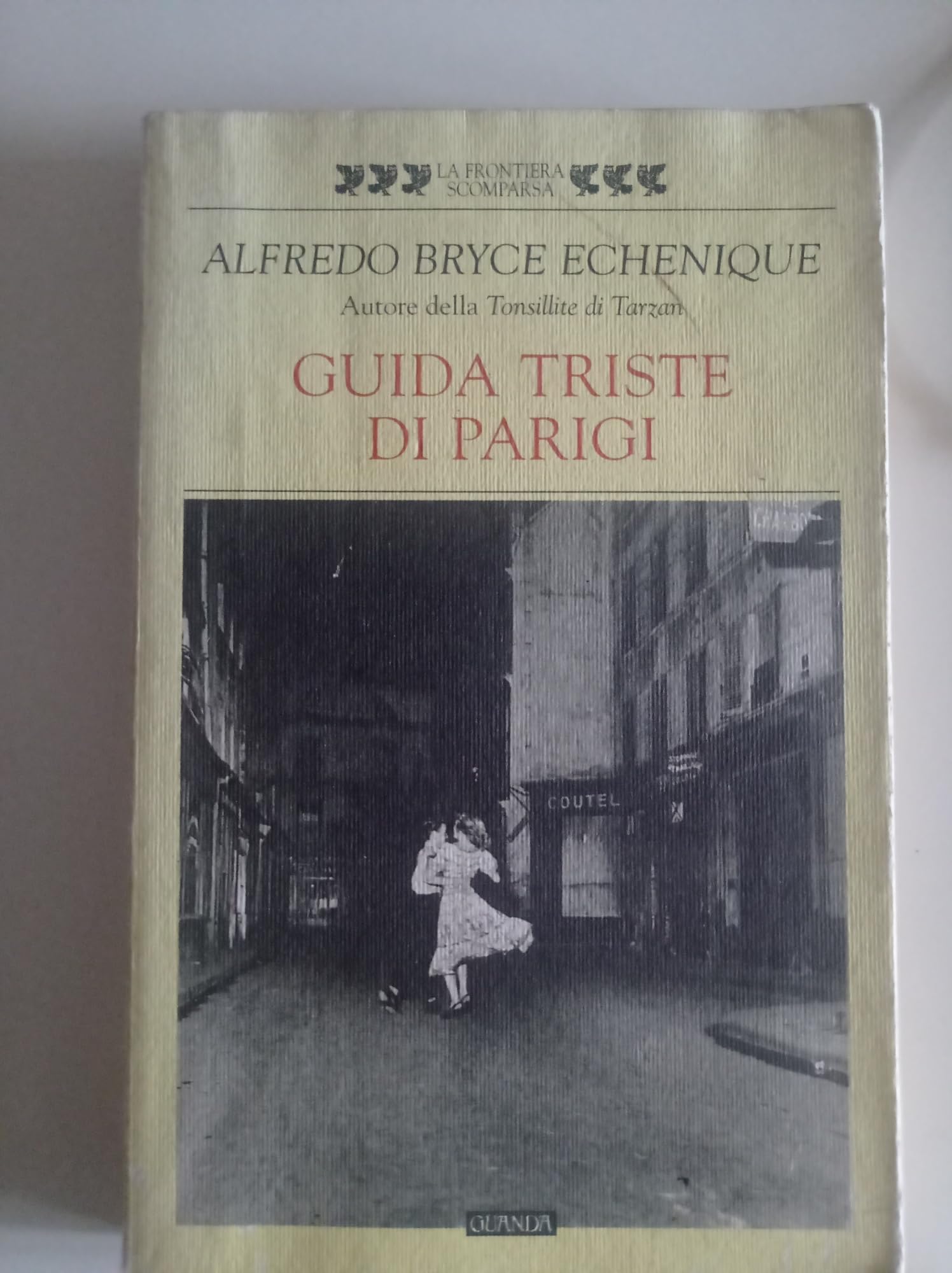 Guida triste di Parigi (La frontiera scomparsa) Contemporary literature