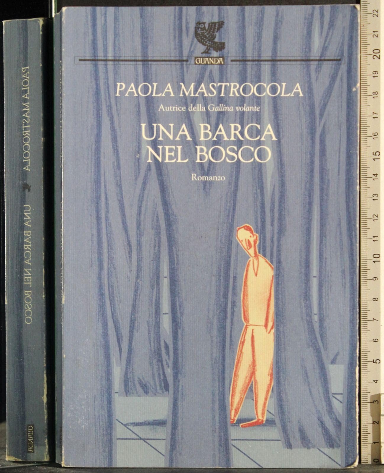Una barca nel bosco (Narratori della Fenice) Contemporary literature