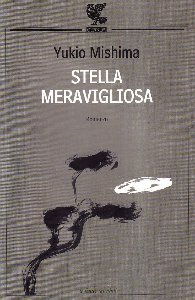 Stella meravigliosa (Le Fenici tascabili) Contemporary literature
