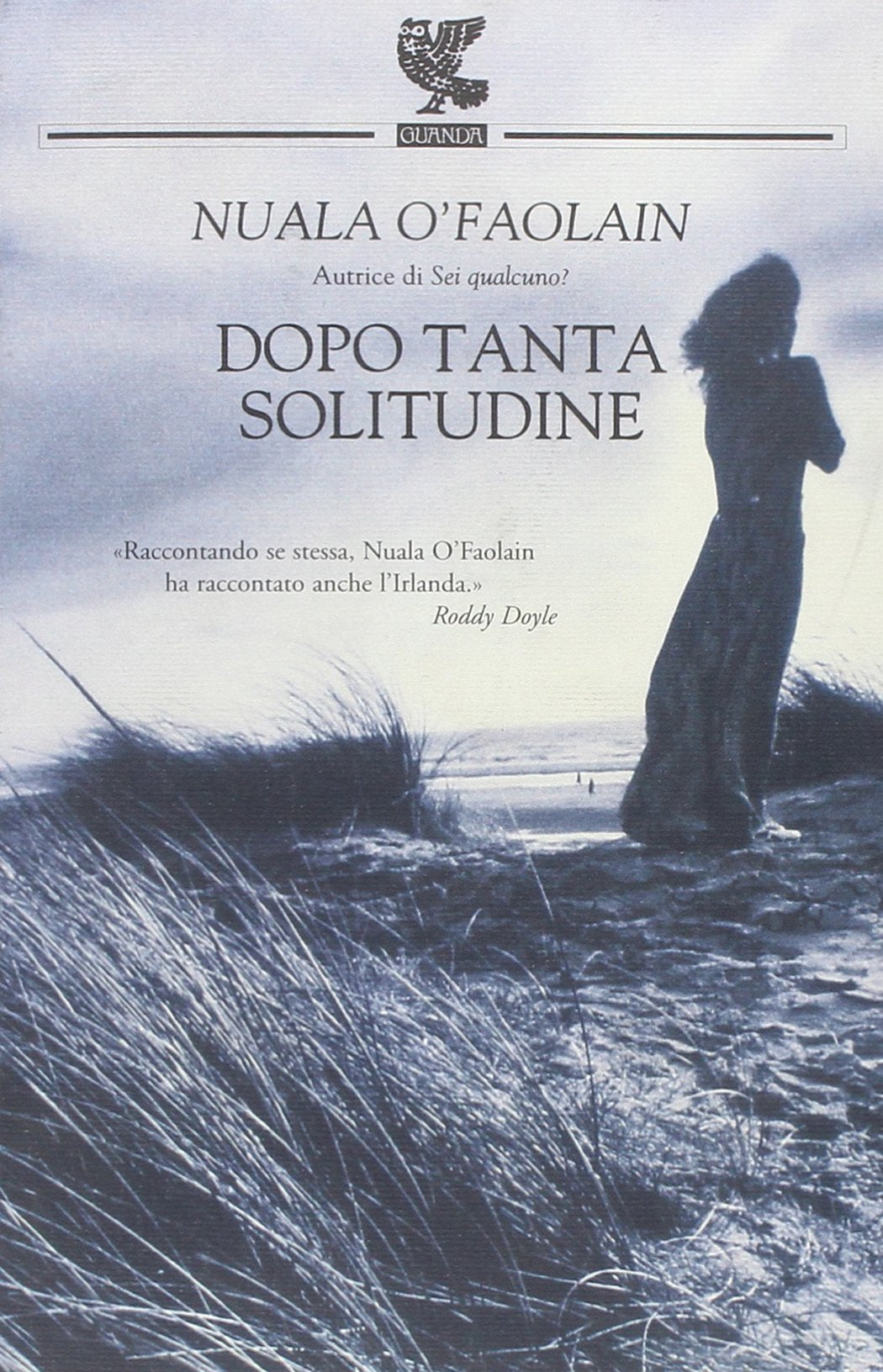 Dopo tanta solitudine Contemporary literature