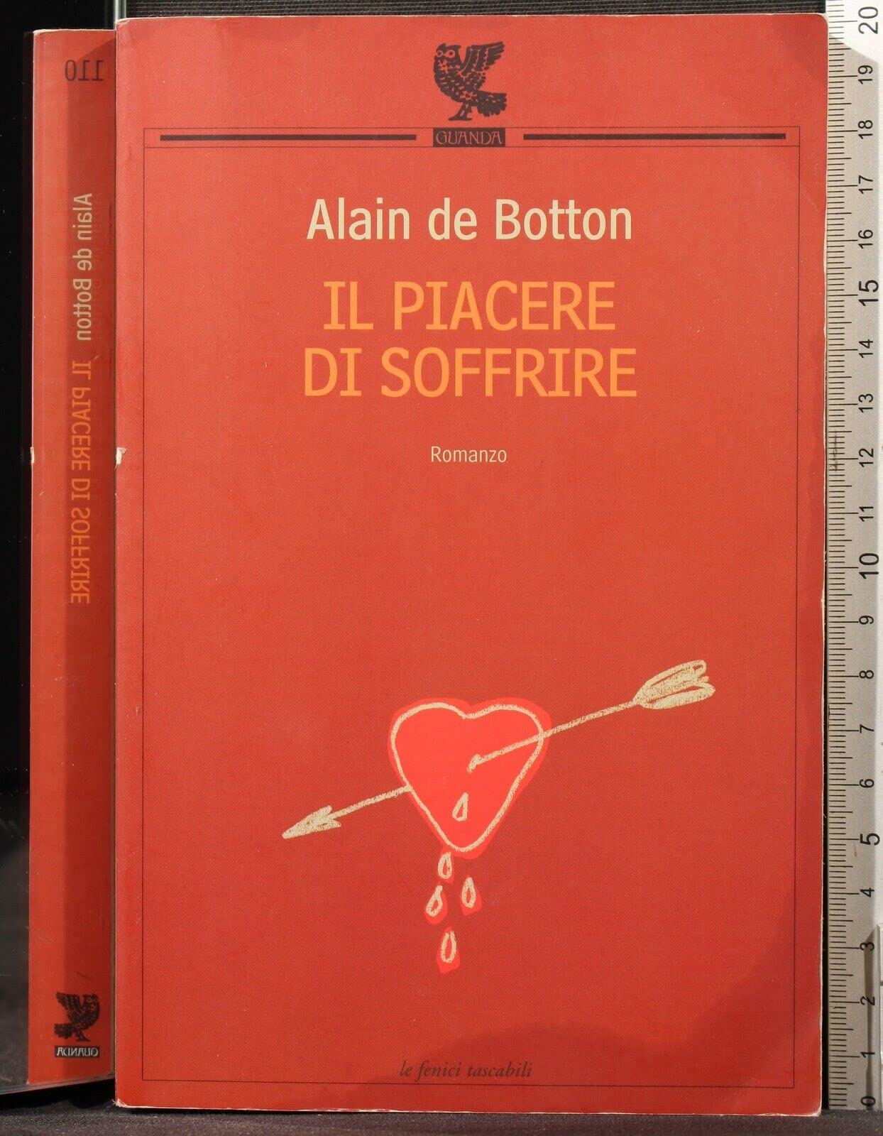 Il piacere di soffrire (Le Fenici tascabili) Contemporary literature