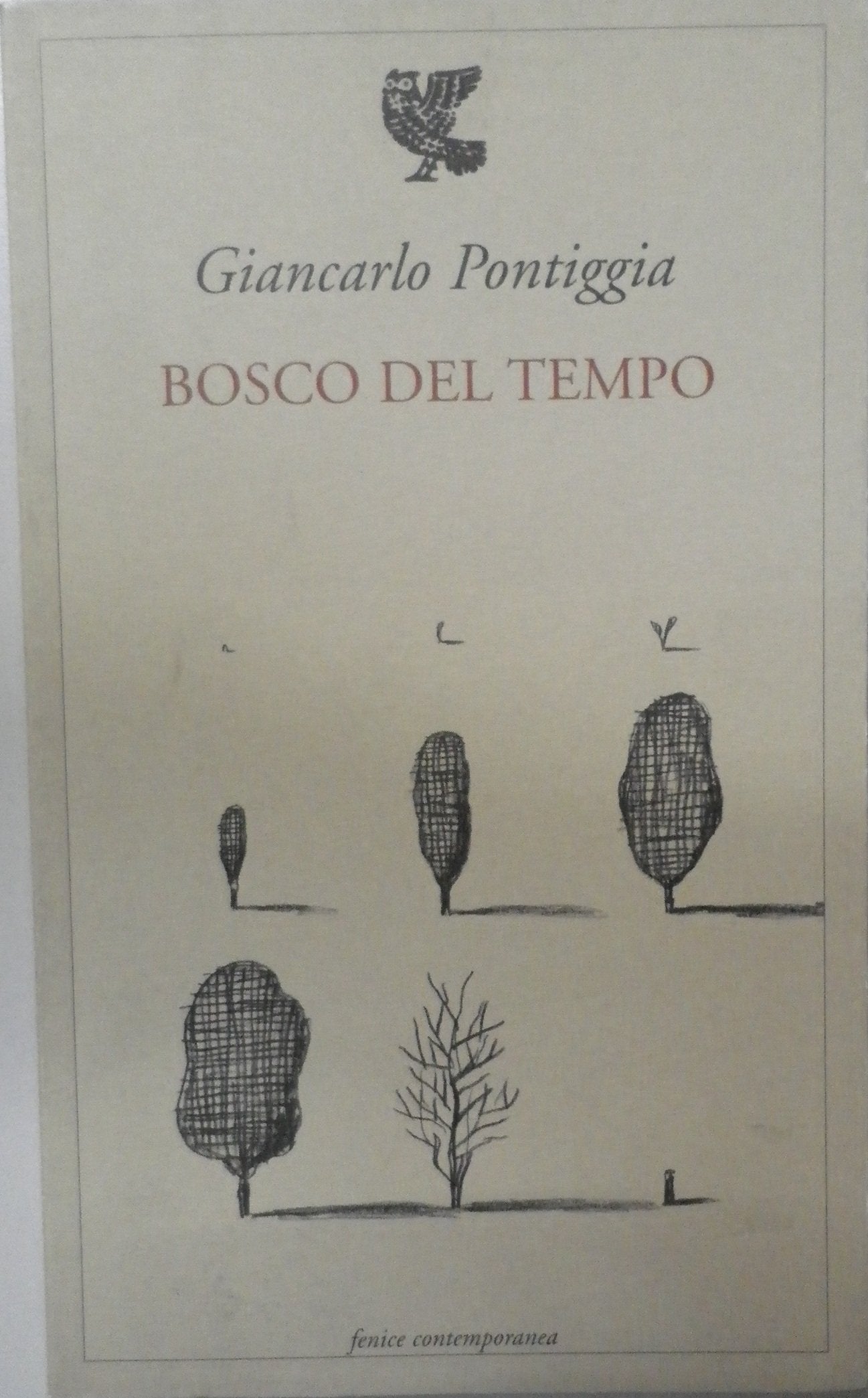 Bosco del tempo (Fenice contemporanea) Poetry